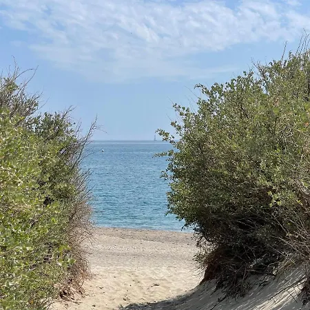 アパート Loft Red Lights サン・シプリアン